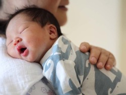 生殖内分泌专家